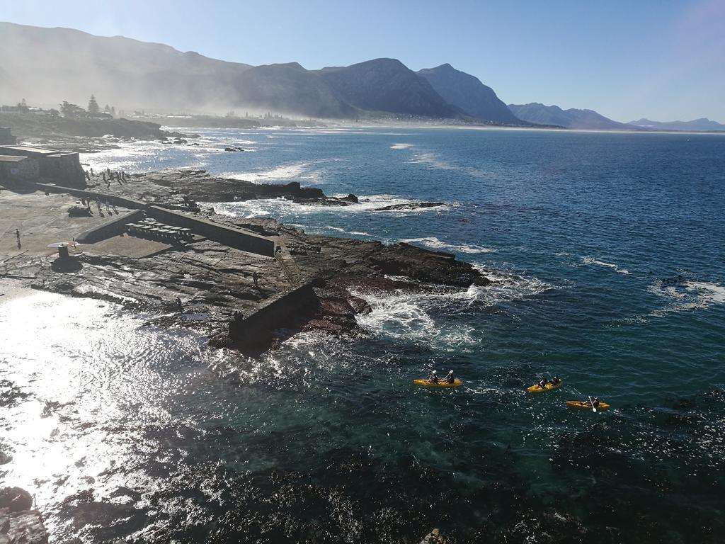 The Potting Shed Guest House Hermanus Exterior photo